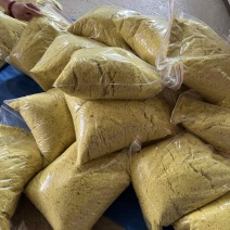 新鲜现磨南姜粉，大量批发，量大价优，量大价可谈