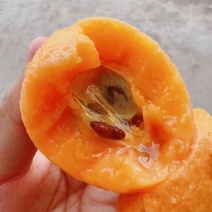 重庆市云阳县巴阳五星大枇杷代办