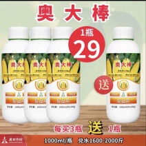 奥丰奥大棒玉米提苗壮苗茎秆粗壮提质增产