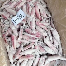 尖鱿鱼海鲜批发净重18斤，275/件运费自理，零担整运，