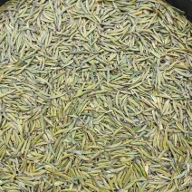 贵州精品湄潭翠芽，明前翠芽全国可发，一手货源源头产地