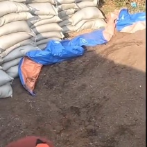 腐殖土
