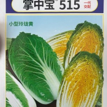 玲珑黄515黄心娃娃菜种子早熟水分含量低囗感好商品性强