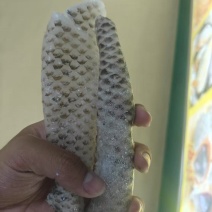 鱼皮（整皮分割）