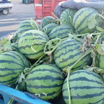 【甄选美都西瓜-火爆推荐】产地直发品质保障诚信