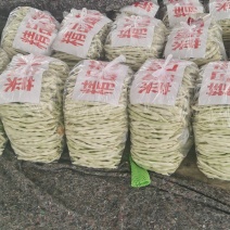 河南芸豆，白不老，基地直供。视频看货，线上保障交易。