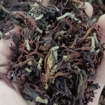 玉兰花