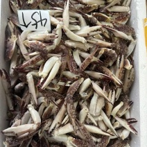 新鲜梭子蟹钳生腌生鲜螃蟹腿沙蟹脚海蟹钳飞蟹钳酒店商用批发