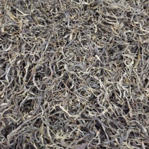 古树普洱茶