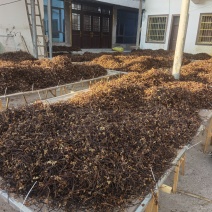 干蕨菜，