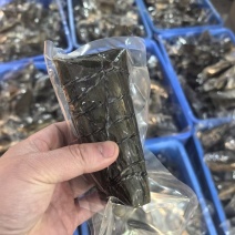 嘉兴味道大肉粽260克