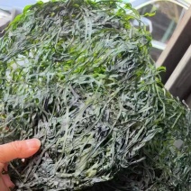 翠绿烘干海带丝，无黄叶白条无盐无沙，地摊展销会火**