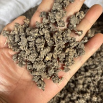 猫爪草批发足干货无硫源头直供诚信经营欢迎订购