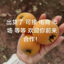 电子商务有限公司五星大枇杷纯甜可接市场电商团购等