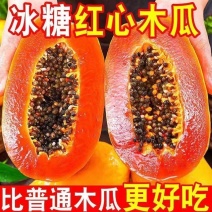 云南新鲜木瓜一件代发3斤五斤9斤