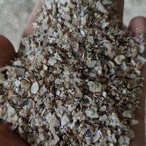 贝壳粉蛋鸡蛋鸭鹌鹑鸽子