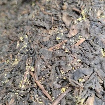 2021年紫娟熟茶