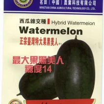 正宗特大果黑美人西瓜种子早熟抗病耐热糖度14皮薄