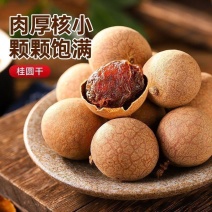 桂圆肉泰国桂圆龙眼干桂圆产地一手货源低价供应桂圆桂圆代发