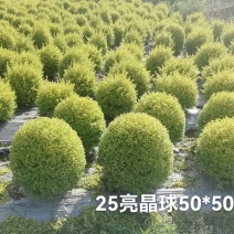 25袋亮晶球规格40-50规格，数量有4000个左右
