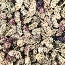 青桑葚干大量供应品质保证欢迎来电洽谈诚信经营