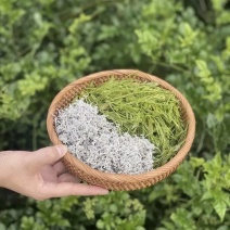张家界莓茶批发