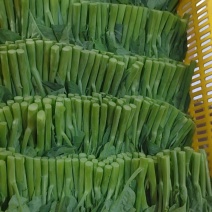 蔬菜