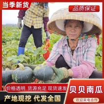实力代办一条龙服务，长期供货，对接电商等，基地一手货