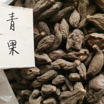 橄榄青果