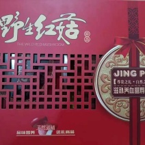 野生红菇，大量有货对接全国市场，可以视频看货，欢迎合作