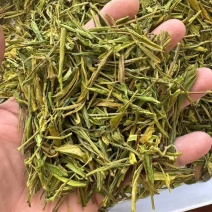 松阳毛峰黄金芽
