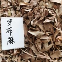 罗布麻