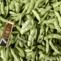 精品毛豆货源充足量大从优质量保证产地发货欢迎咨询