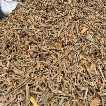 防城港桂皮香料，大中小通一站式批发