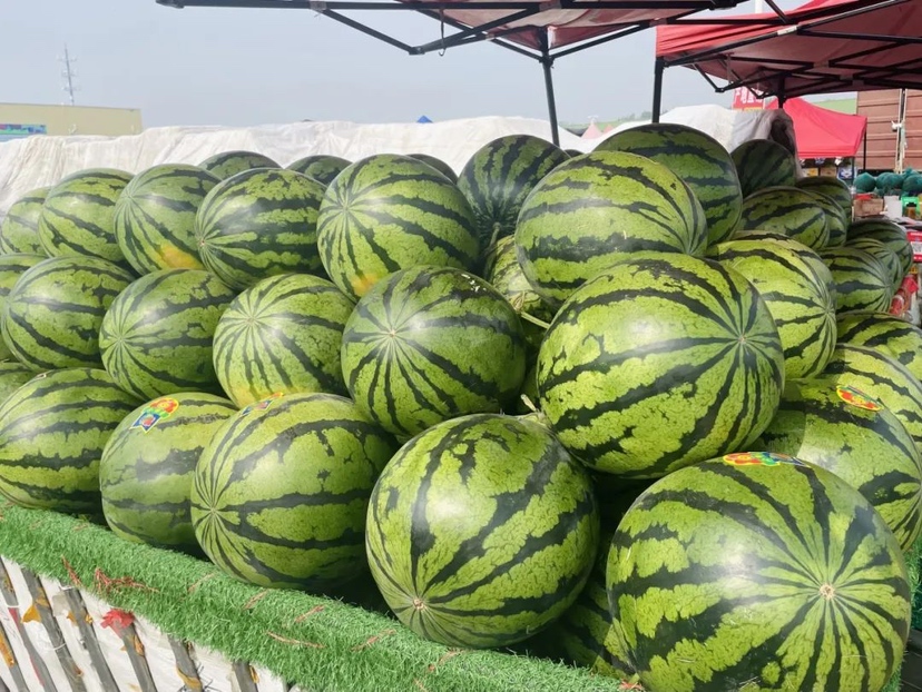 一位年轻女性站在水果摊前,弯腰仔细查看摆放整齐的甜王西瓜,摊主在一旁介绍。西瓜表面光滑,条纹分明,背景是城市街边水果店,充满生活气息 消费者在水果店选购甜王西瓜