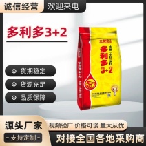 多利多3+2
