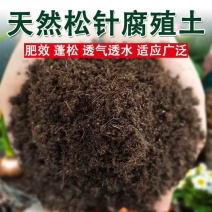 腐殖土大量现货供应，规格齐全，可视频看货代发全国客商