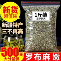 包邮）新疆原产地野生罗布麻嫩芽叶正品500g特级罗布麻
