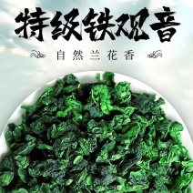 特级铁观音招牌茶，2026新茶，茶农直邮，亏本打市场