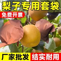 梨子套袋专用袋水果套袋果树防虫防鸟秋月梨晚秋黄金梨