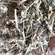 花生秧草