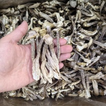 A菇鹿茸菇大量批发，全网***格，产地直销，货真价实。
