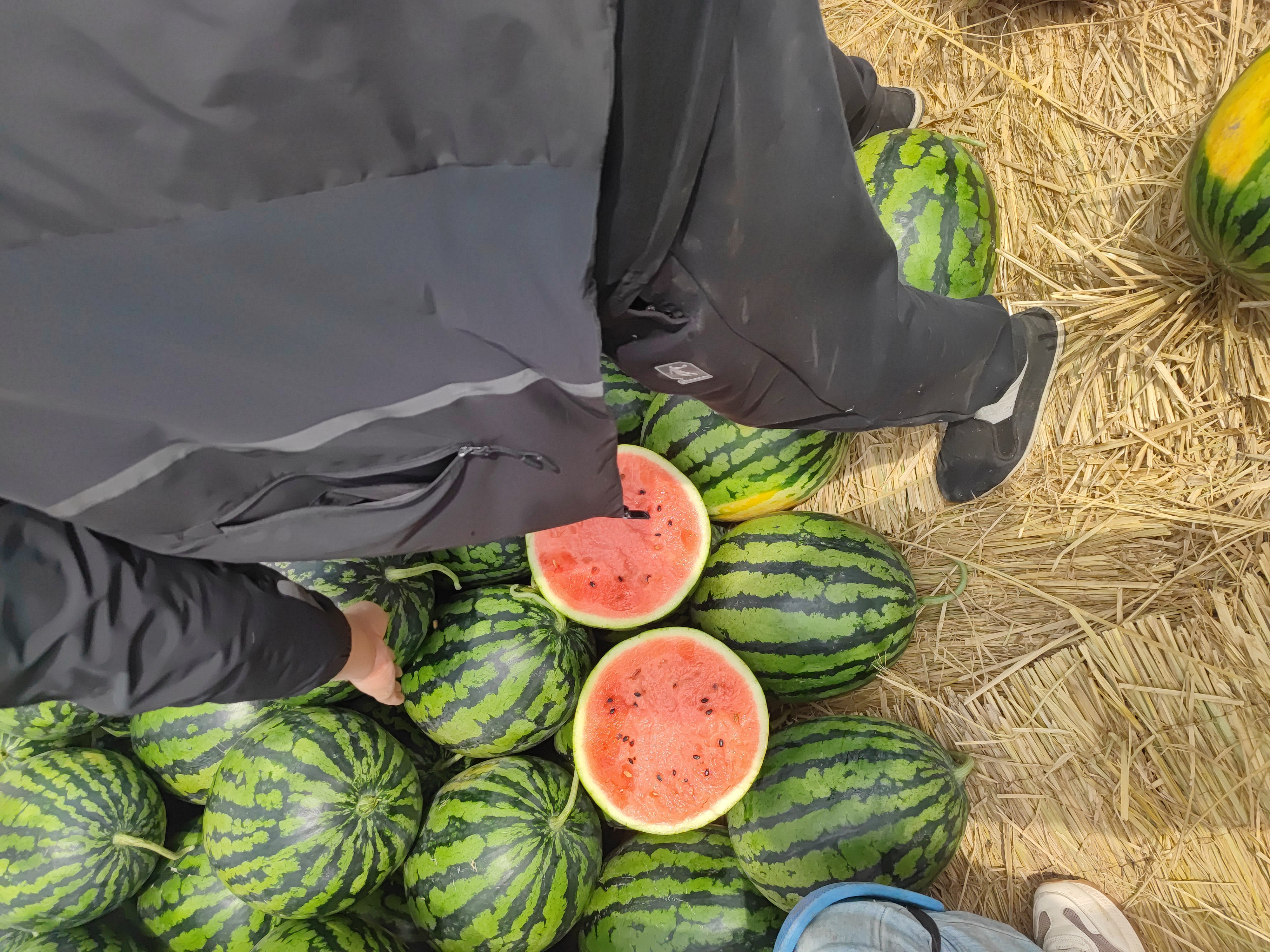 一位消费者正在水果摊前挑选甜王西瓜，手扶瓜把轻拍听声