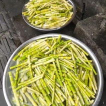 百家鲜竹笋货源充足量大从优诚信经营致电联系