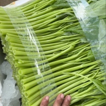 精品空心菜发无锡常州扬州