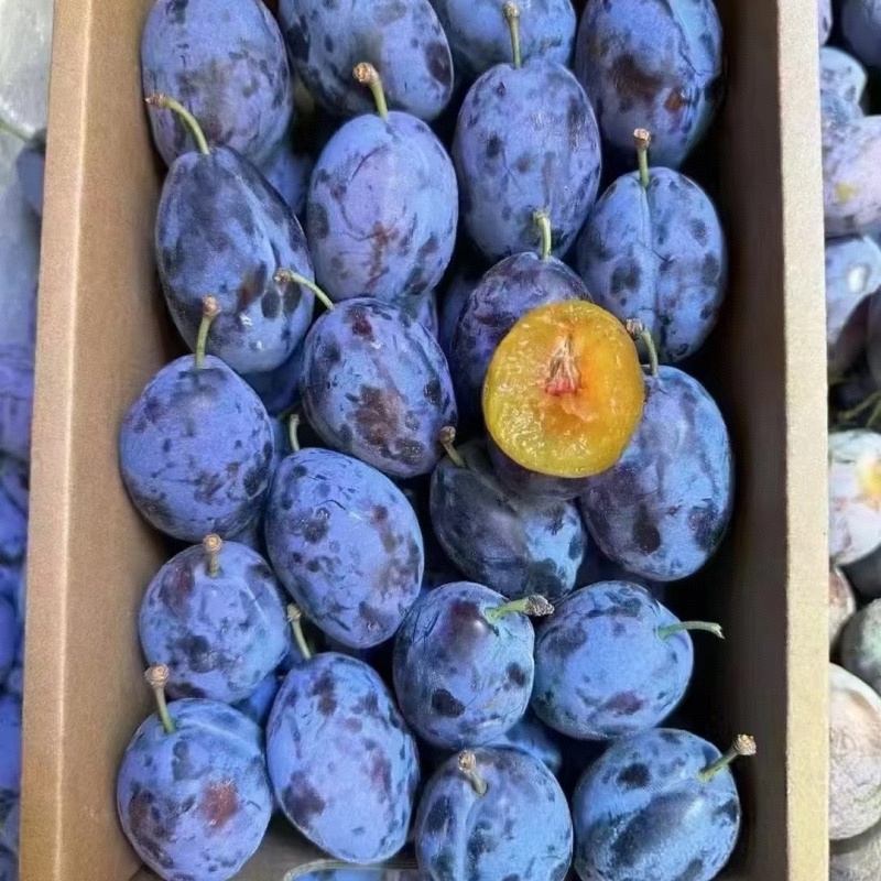 李子陕西精品蓝西梅产地现货现发口感纯甜量大从优