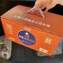 支持检测报告，可打字