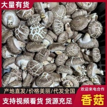 干香菇货源充足规格齐全常年供应量大价优