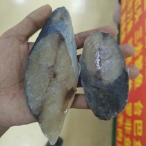鲅鱼块