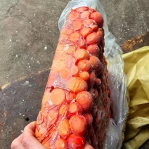 红心鸭蛋黄带蛋渣，2吨左右